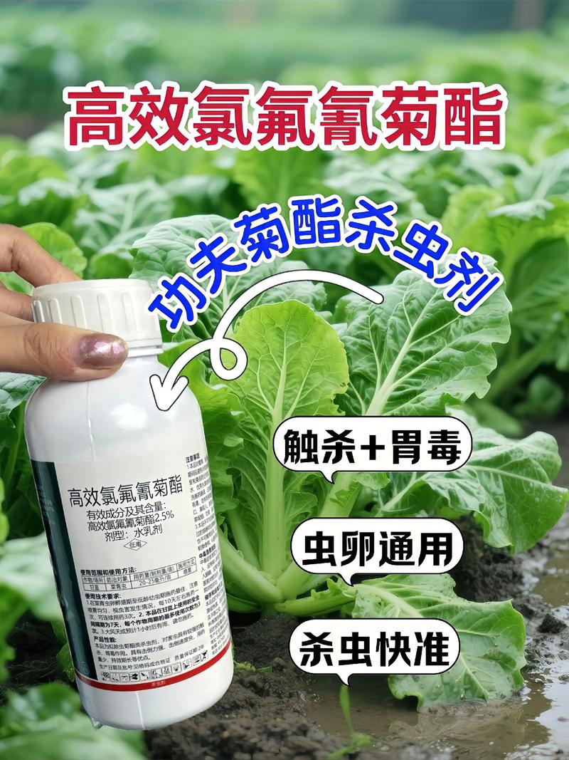 南宁代生中心:农药对供卵代生妈妈的危害